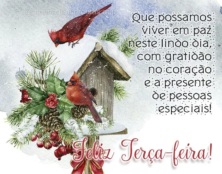 Que possamos viver em paz neste lindo dia, com gratidão no coração e a presente de pessoas especiais! Feliz Terça-feira! 