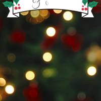 Feliz Natal e Próspero Ano Novo!