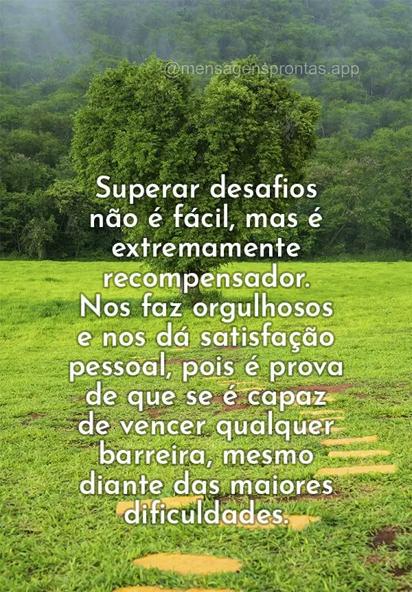 Superar desafios não é fácil, mas é extremamente recompensador. Nos faz orgulhosos e nos dá satisfação pessoal, pois é prova de que se é capaz d...