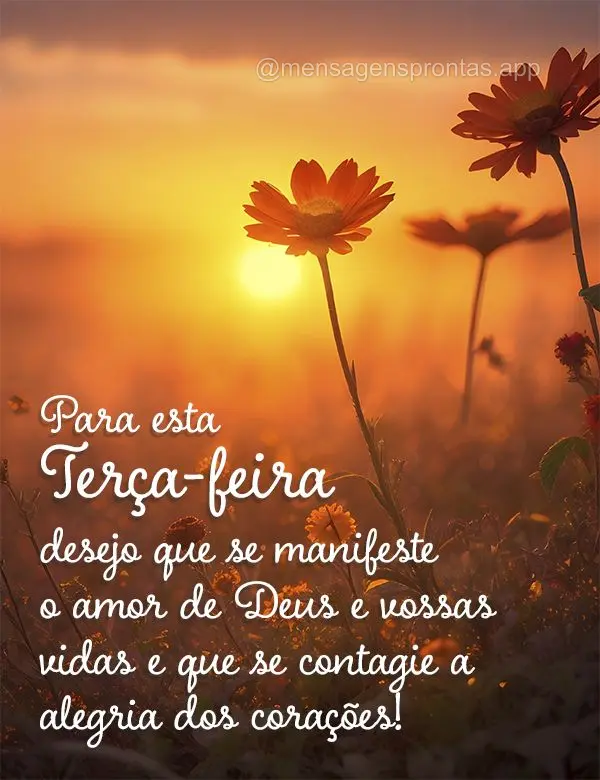 Para esta Terça-feira desejo que se manifeste o amor de Deus e vossas vidas e que se contagie a alegria dos corações!