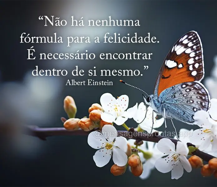 "Não há nenhuma fórmula para a felicidade. É necessário encontrar dentro de si mesmo." Albert Einstein