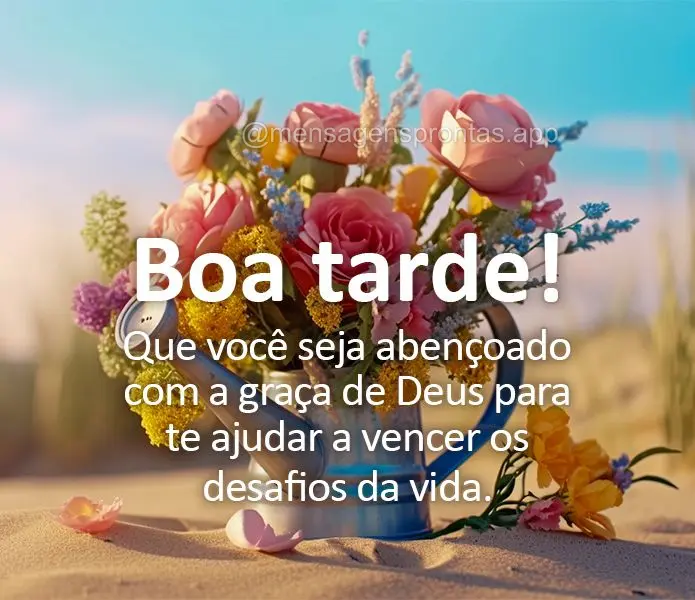 Que você seja abençoado com a graça de Deus para te ajudar a vencer os desafios da vida. Boa tarde!