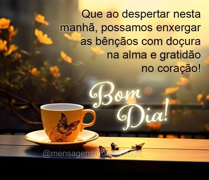 Que ao despertar nesta manhã, possamos enxergar as bênçãos com doçura na alma e gratidão no coração! Bom dia! 