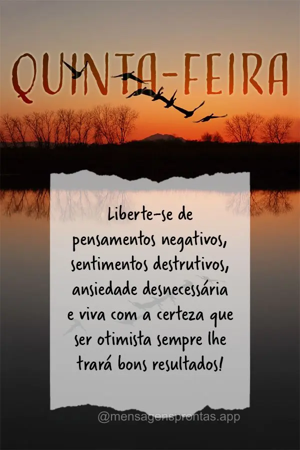 Liberte-se de pensamentos negativos, sentimentos destrutivos, ansiedade desnecessária e viva com a certeza que ser otimista sempre lhe trará bons resul...