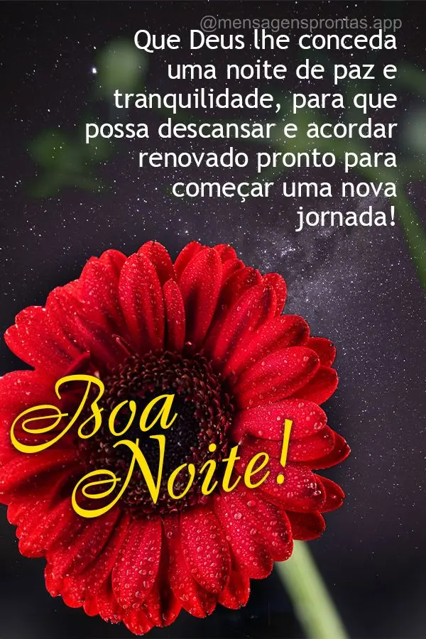 Que Deus lhe conceda uma noite de paz e tranquilidade, para que possa descansar e acordar renovado pronto para começar uma nova jornada! Boa noite!