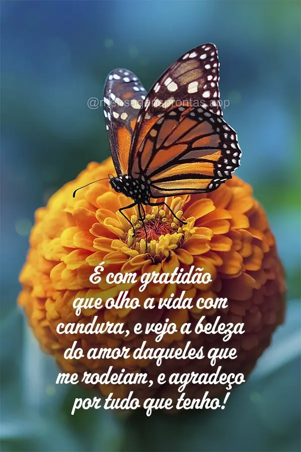 É com gratidão que olho a vida com candura, e vejo a beleza do amor daqueles que me rodeiam, e agradeço por tudo que tenho!