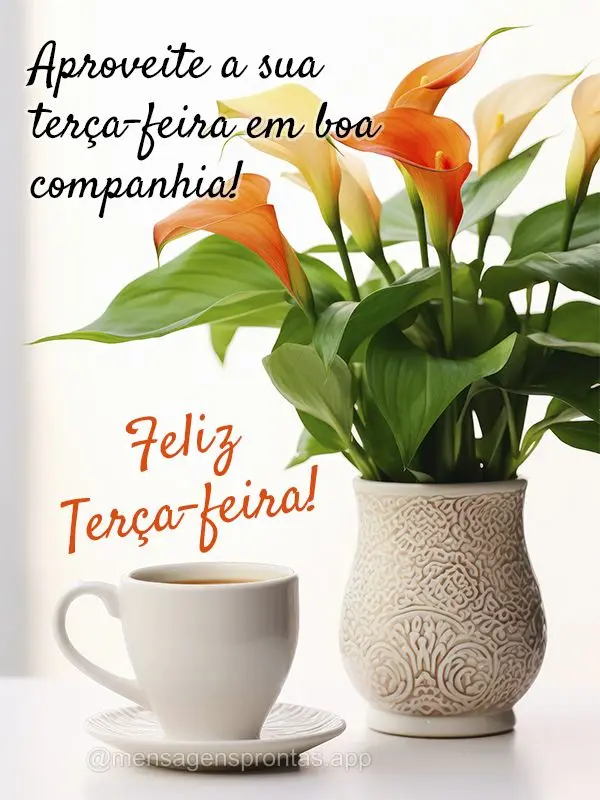 Aproveite a sua terça-feira em boa companhia! Feliz Terça-feira!