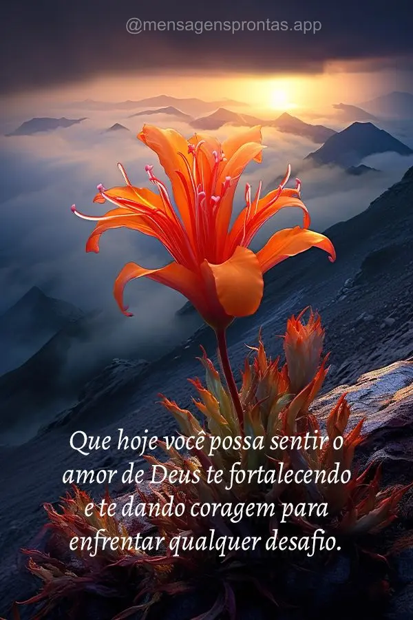 Que hoje você possa sentir o amor de Deus te fortalecendo e te dando coragem para enfrentar qualquer desafio.