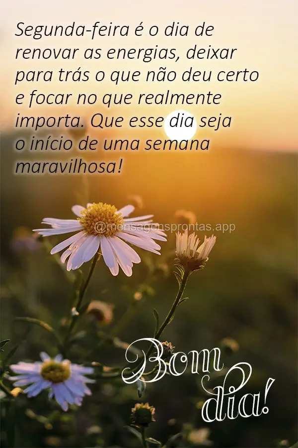 Segunda-feira é o dia de renovar as energias, deixar para trás o que não deu certo e focar no que realmente importa. Que esse dia seja o início de um...