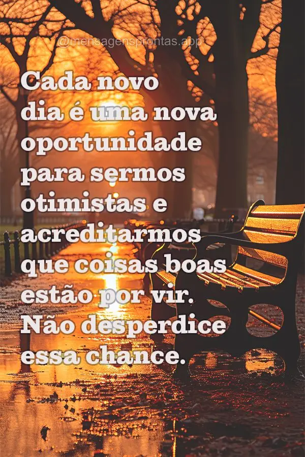 Cada novo dia é uma nova oportunidade para sermos otimistas e acreditarmos que coisas boas estão por vir. Não desperdice essa chance.