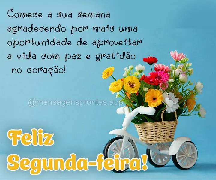 Comece a sua semana agradecendo por mais uma oportunidade de aproveitar a vida com paz e gratidão no coração!  Feliz Segunda-feira!