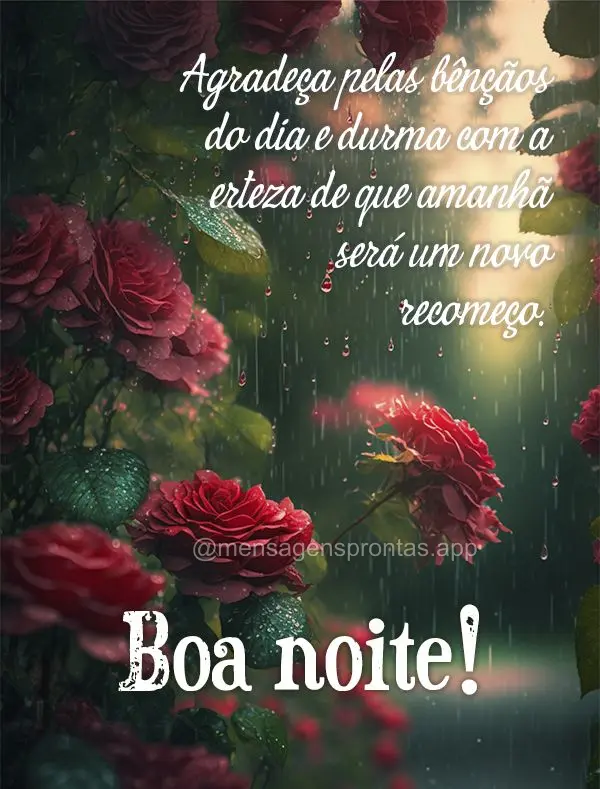 Agradeça pelas bênçãos do dia e durma com a certeza de que amanhã será um novo recomeço. Boa noite!