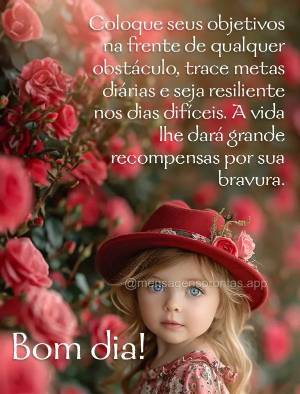 Coloque seus objetivos na frente de qualquer obstáculo, trace metas diárias e seja resiliente nos dias difíceis. A vida lhe dará grande recompensas p...