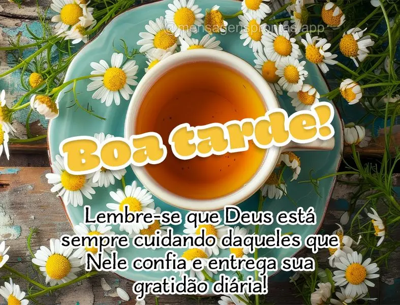 Lembre-se que Deus está sempre cuidando daqueles que Nele confia e entrega sua gratidão diária! Boa tarde!