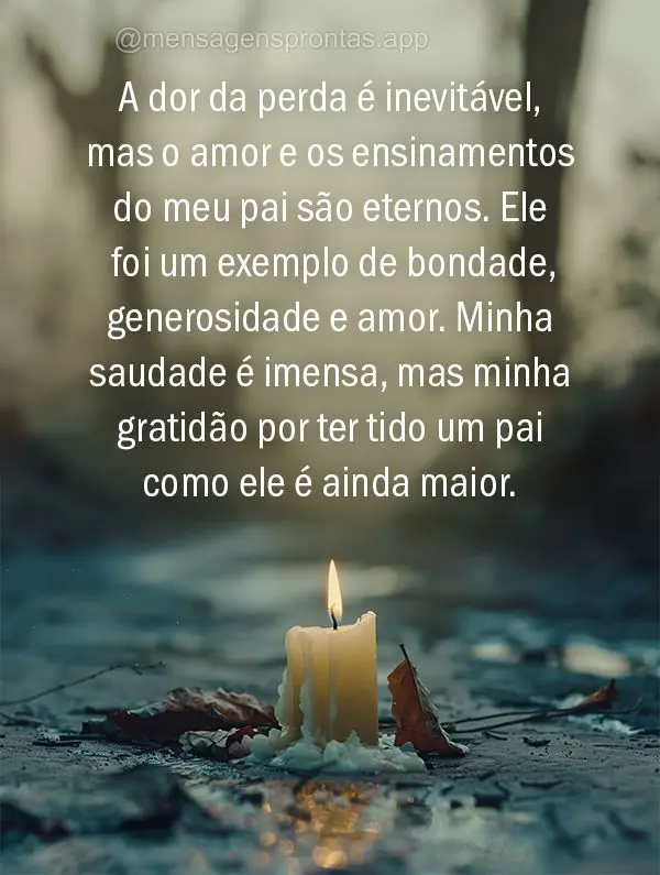 A dor da perda é inevitável, mas o amor e os ensinamentos do meu pai são eternos. Ele foi um exemplo de bondade, generosidade e amor. Minha saudade é...