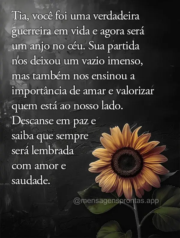 Tia, você foi uma verdadeira guerreira em vida e agora será um anjo no céu. Sua partida nos deixou um vazio imenso, mas também nos ensinou a importâ...