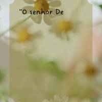 "O senhor Deus irá na sua frente; Ele mesmo estará com você e não o deixará, não o abandonará. Não se assuste, nem tenha medo." Deuteronômio 31:...