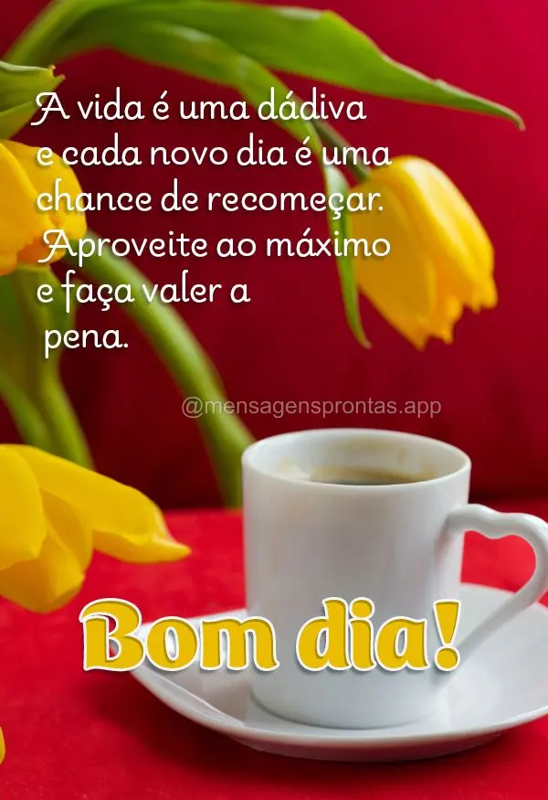 A vida é uma dádiva e cada novo dia é uma chance de recomeçar. Aproveite ao máximo e faça valer a pena. Bom dia!