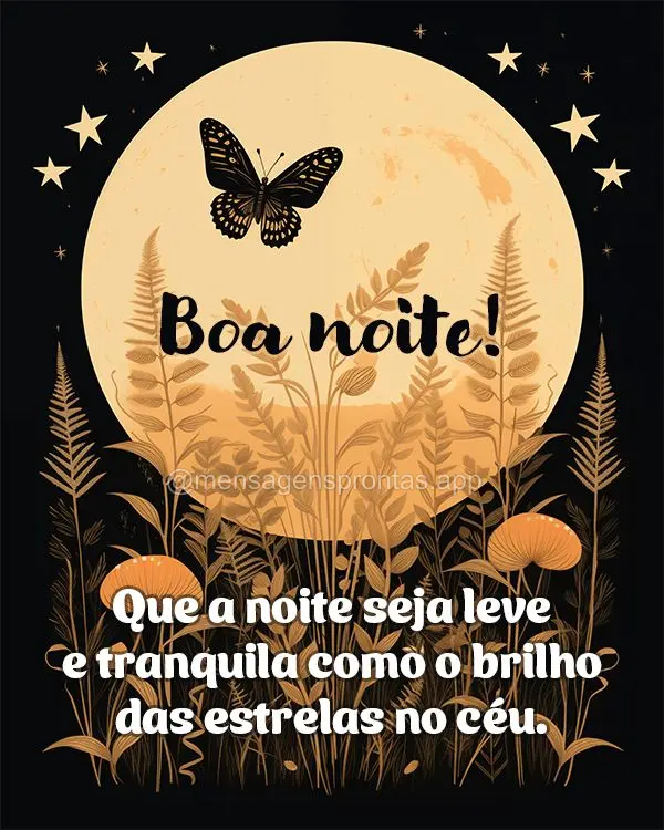 Que a noite seja leve e tranquila como o brilho das estrelas no céu. Boa noite!