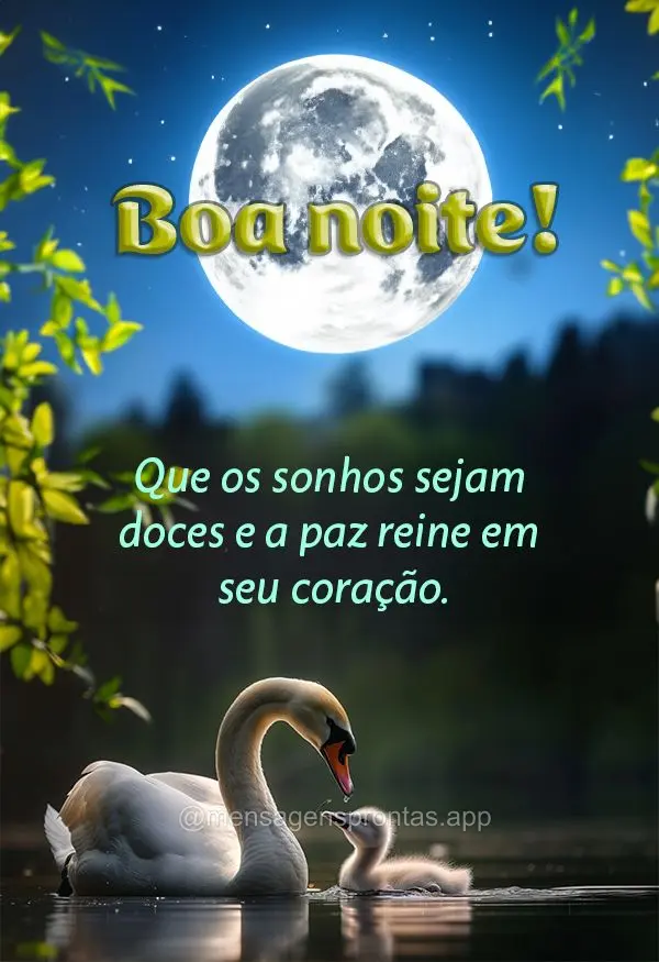 Que os sonhos sejam doces e a paz reine em seu coração. Boa noite!