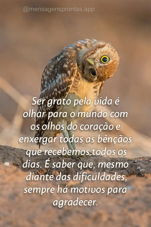 Ser grato pela vida é olhar para o mundo com os olhos do coração e enxergar todas as bênçãos que recebemos todos os dias. É saber que, mesmo diant...