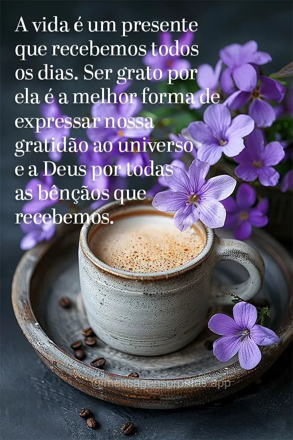 A vida é um presente que recebemos todos os dias. Ser grato por ela é a melhor forma de expressar nossa gratidão ao universo e a Deus por todas as bê...