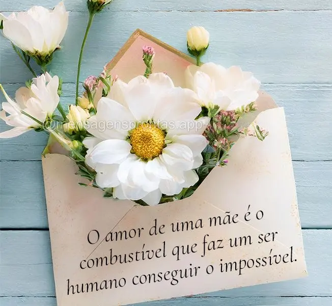 O amor de uma mãe é o combustível que faz um ser humano conseguir o impossível.