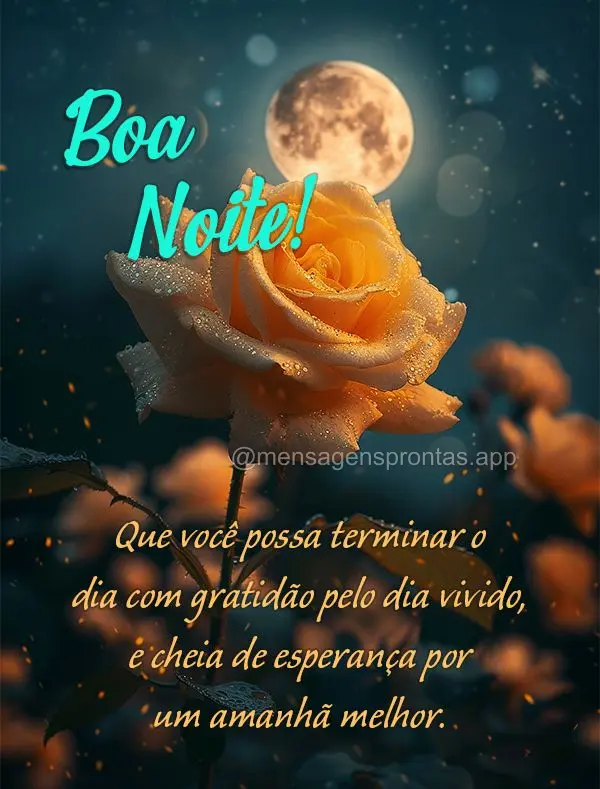 Que você possa terminar o dia com gratidão pelo dia vivido, e cheia de esperança por um amanhã melhor. Boa noite!