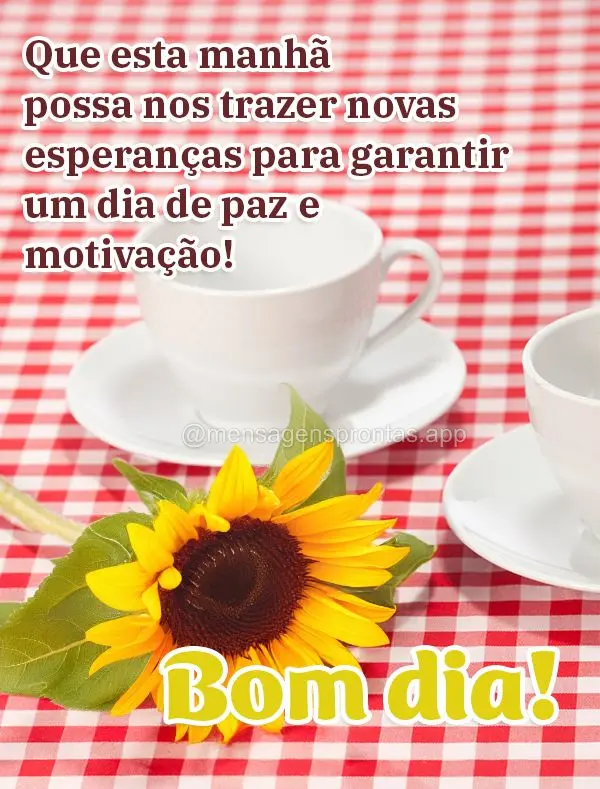 Que esta manhã possa nos trazer novas esperanças para garantir um dia de paz e motivação! Bom dia!