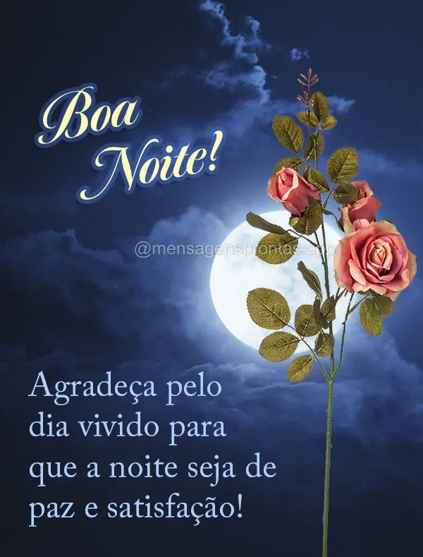 Agradeça pelo dia vivido para que a noite seja de paz e satisfação! Boa noite!