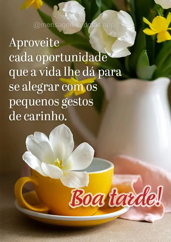 Aproveite cada oportunidade que a vida lhe dá para se alegrar com os pequenos gestos de carinho. Boa tarde!