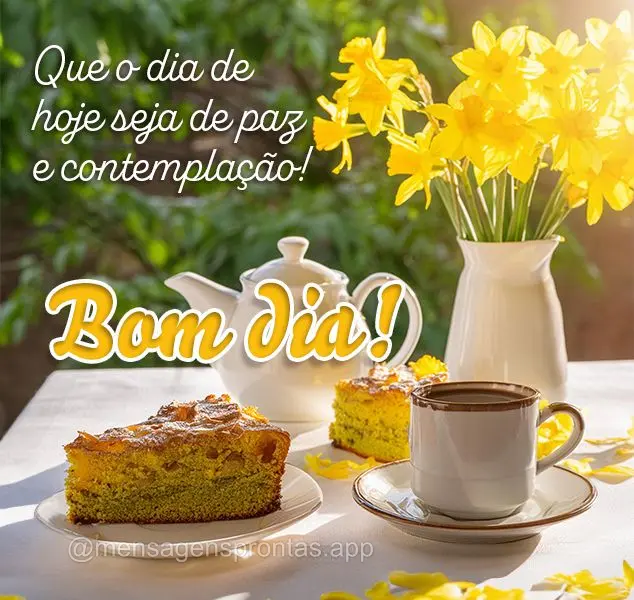 Que o dia de hoje seja de paz e contemplação! Bom dia!