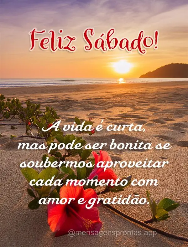 A vida é curta, mas pode ser bonita se soubermos aproveitar cada momento com amor e gratidão. Feliz Sábado!