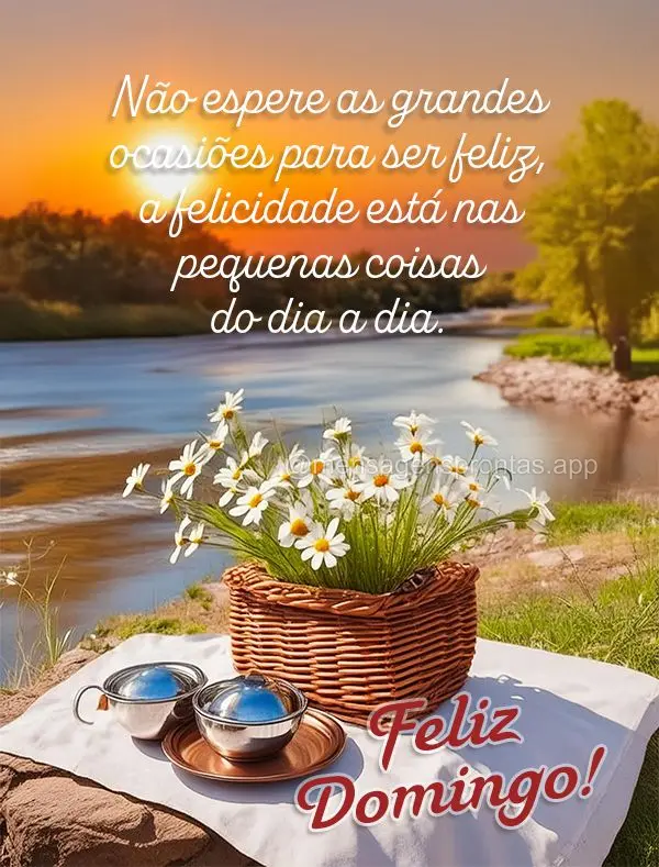 Não espere as grandes ocasiões para ser feliz, a felicidade está nas pequenas coisas do dia a dia. Feliz Domingo!