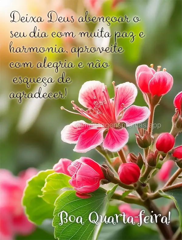 Deixa Deus abençoar o seu dia com muita paz e harmonia, aproveite com alegria e não esqueça de agradecer!  Boa Quarta-feira!