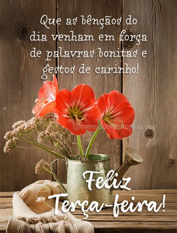 Que as bênçãos do dia venham em força de palavras bonitas e gestos de carinho! Feliz Terça-feira!