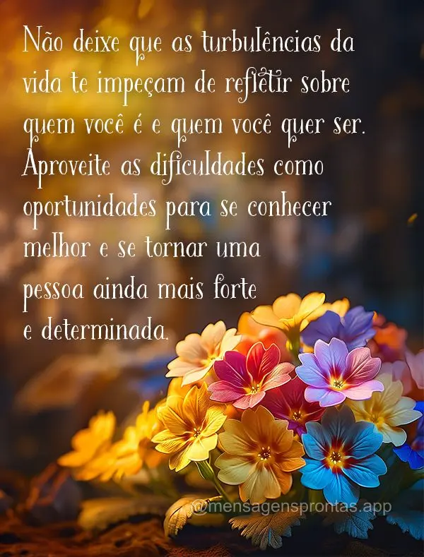 Não deixe que as turbulências da vida te impeçam de refletir sobre quem você é e quem você quer ser. Aproveite as dificuldades como oportunidades p...