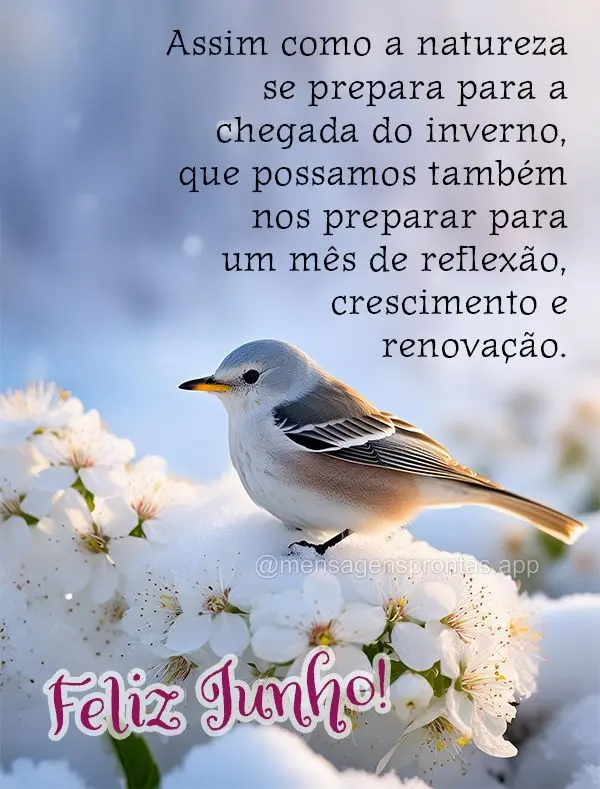 Assim como a natureza se prepara para a chegada do inverno, que possamos também nos preparar para um mês de reflexão, crescimento e renovação. Feliz...