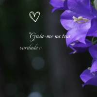 "Guia-me na tua verdade e ensina-me, pois tu és o Deus da minha salvação; por ti estou esperando todo dia." Salmos 25:5