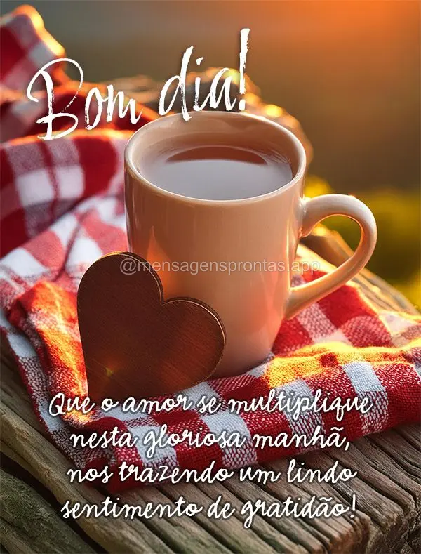 Que o amor se multiplique nesta gloriosa manhã, nos trazendo um lindo sentimento de gratidão! Bom dia!