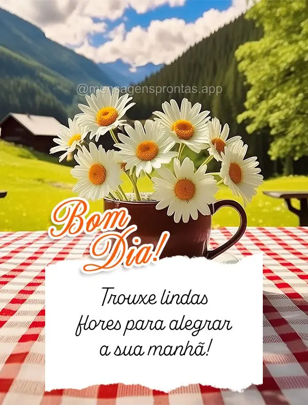 Trouxe lindas flores para alegrar a sua manhã! Bom dia! 