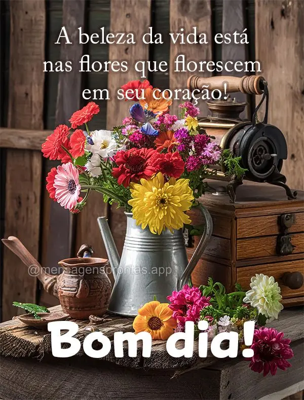 A beleza da vida está nas flores que florescem em seu coração! Bom dia!