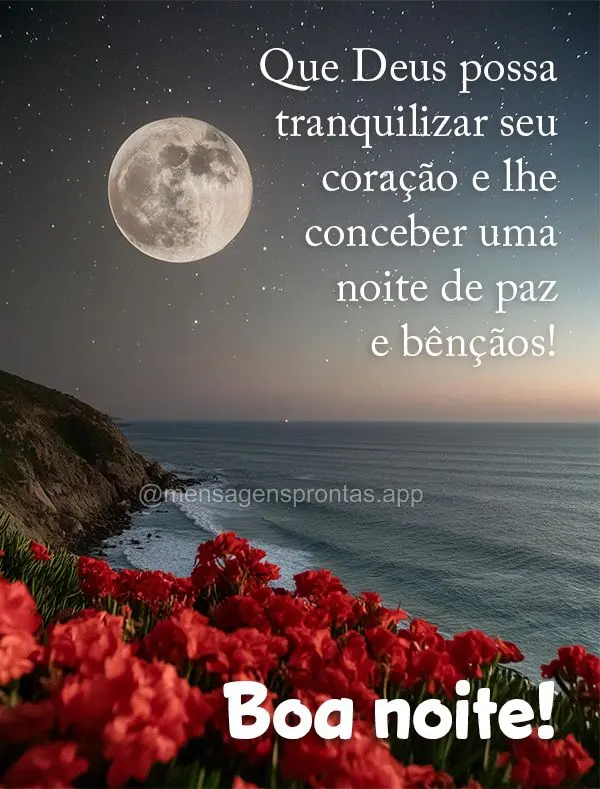 Que Deus possa tranquilizar seu coração e lhe conceber uma noite de paz e bênçãos! Boa noite!