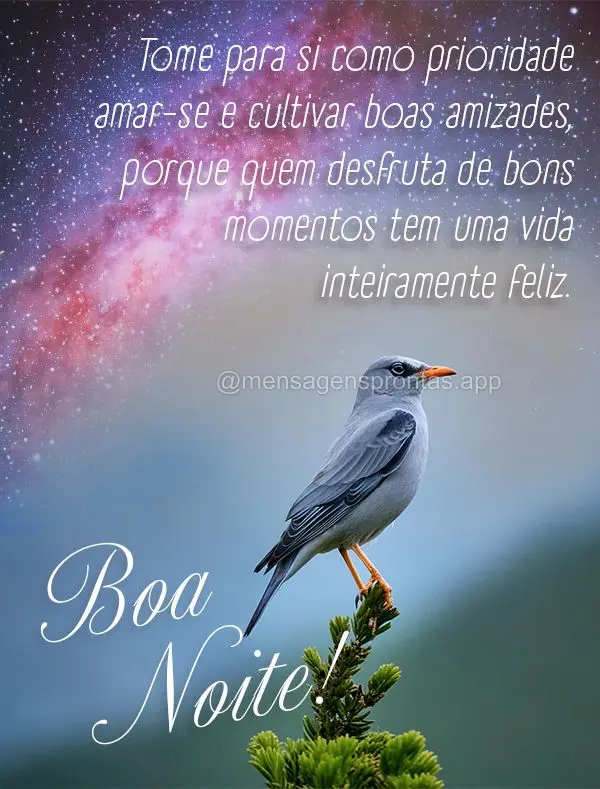 Tome para si como prioridade amar-se e cultivar boas amizades, porque quem desfruta de bons momentos tem uma vida inteiramente feliz. Boa noite!