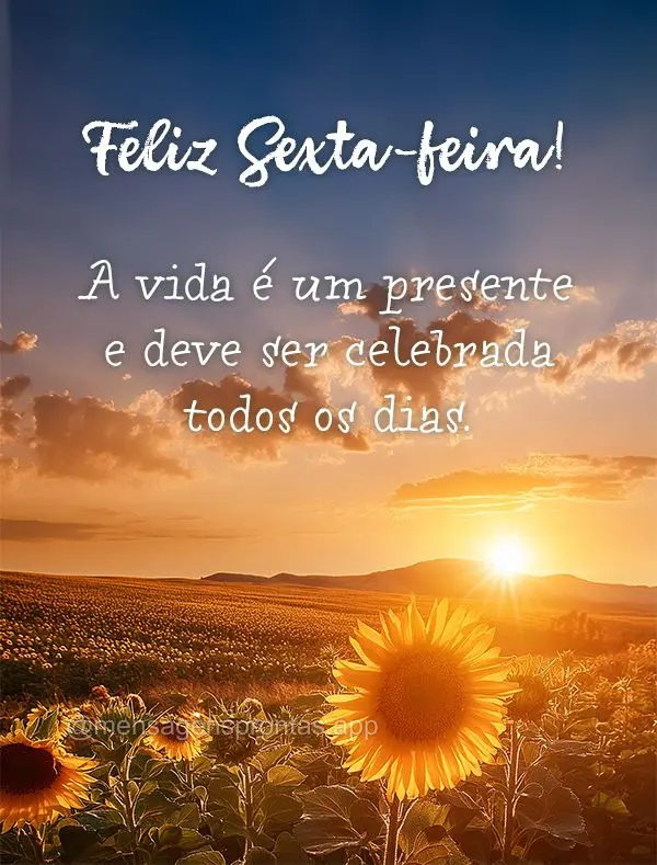 A vida é um presente e deve ser celebrada todos os dias. Feliz Sexta-feira!