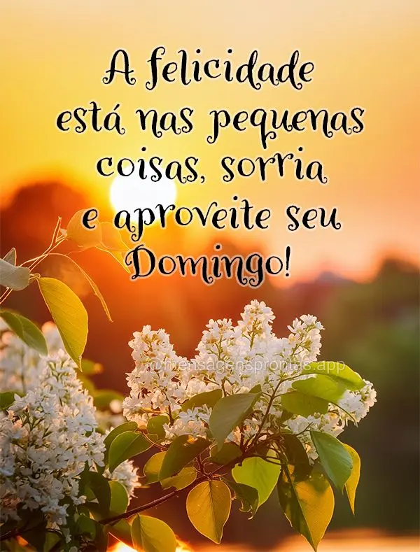 A felicidade está nas pequenas coisas, sorria e aproveite seu Domingo!