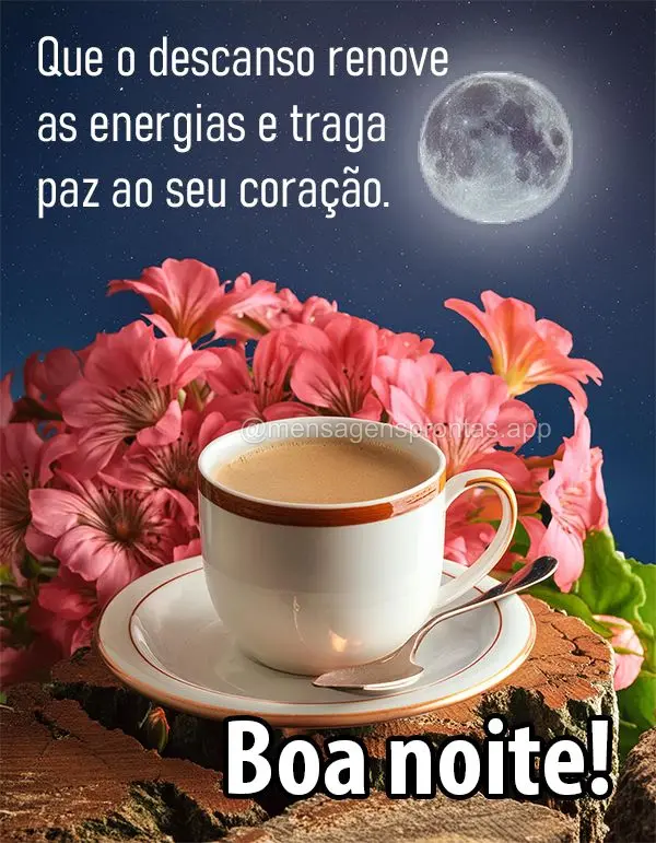 Que o descanso renove as energias e traga paz ao seu coração." Boa noite!