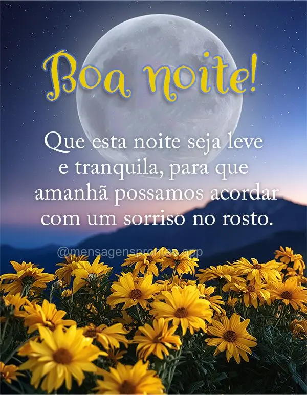 Que esta noite seja leve e tranquila, para que amanhã possamos acordar com um sorriso no rosto. Boa noite!