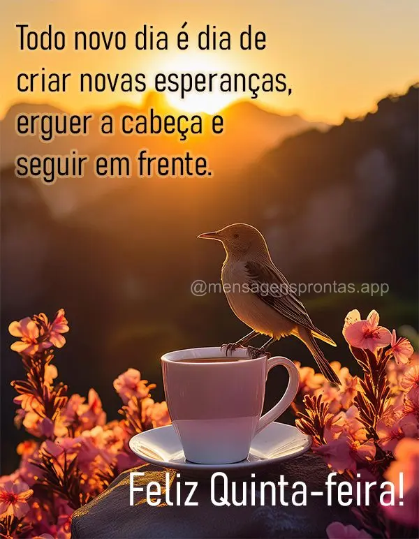 Todo novo dia é dia de criar novas esperanças, erguer a cabeça e seguir em frente. Feliz Quinta-feira!