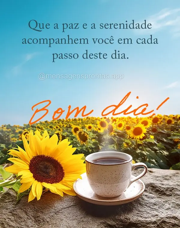 Que a paz e a serenidade acompanhem você em cada passo deste dia. Bom dia!